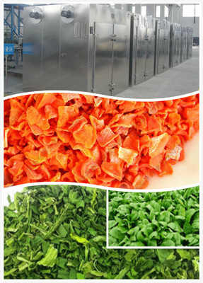 蔬菜熱泵烘干機(jī),蔬菜空氣能干燥設(shè)備,果蔬烘干房